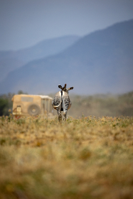 什么姿势插的深 什么姿势插的深