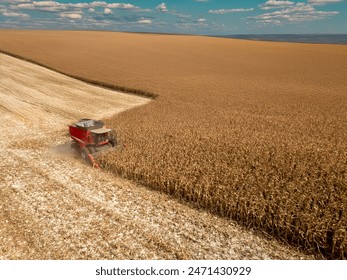 人成午夜免费影院