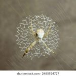 鬼吹灯精绝古城 hnn5mpm